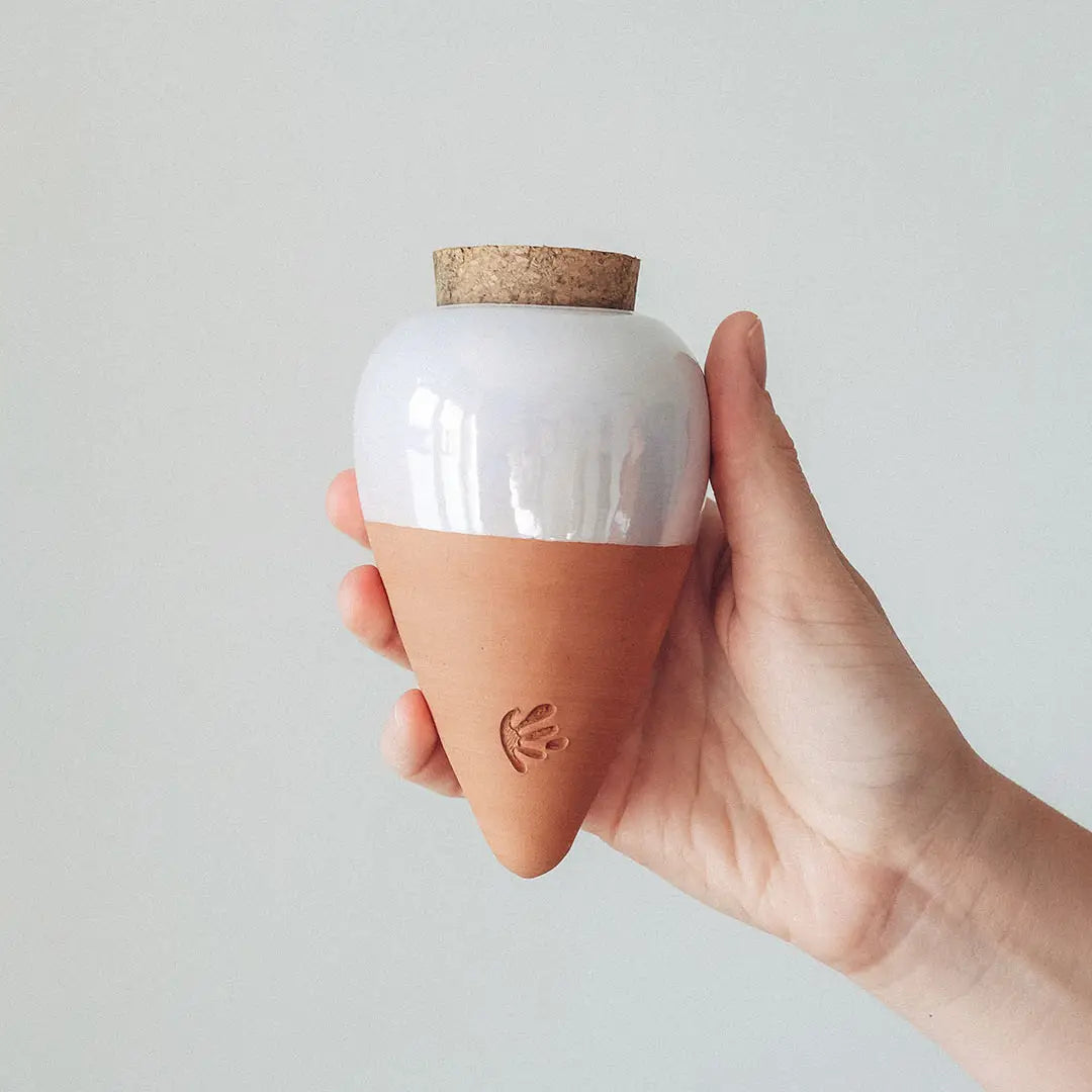 PEPIN | Olla Watering Tool - 6 options