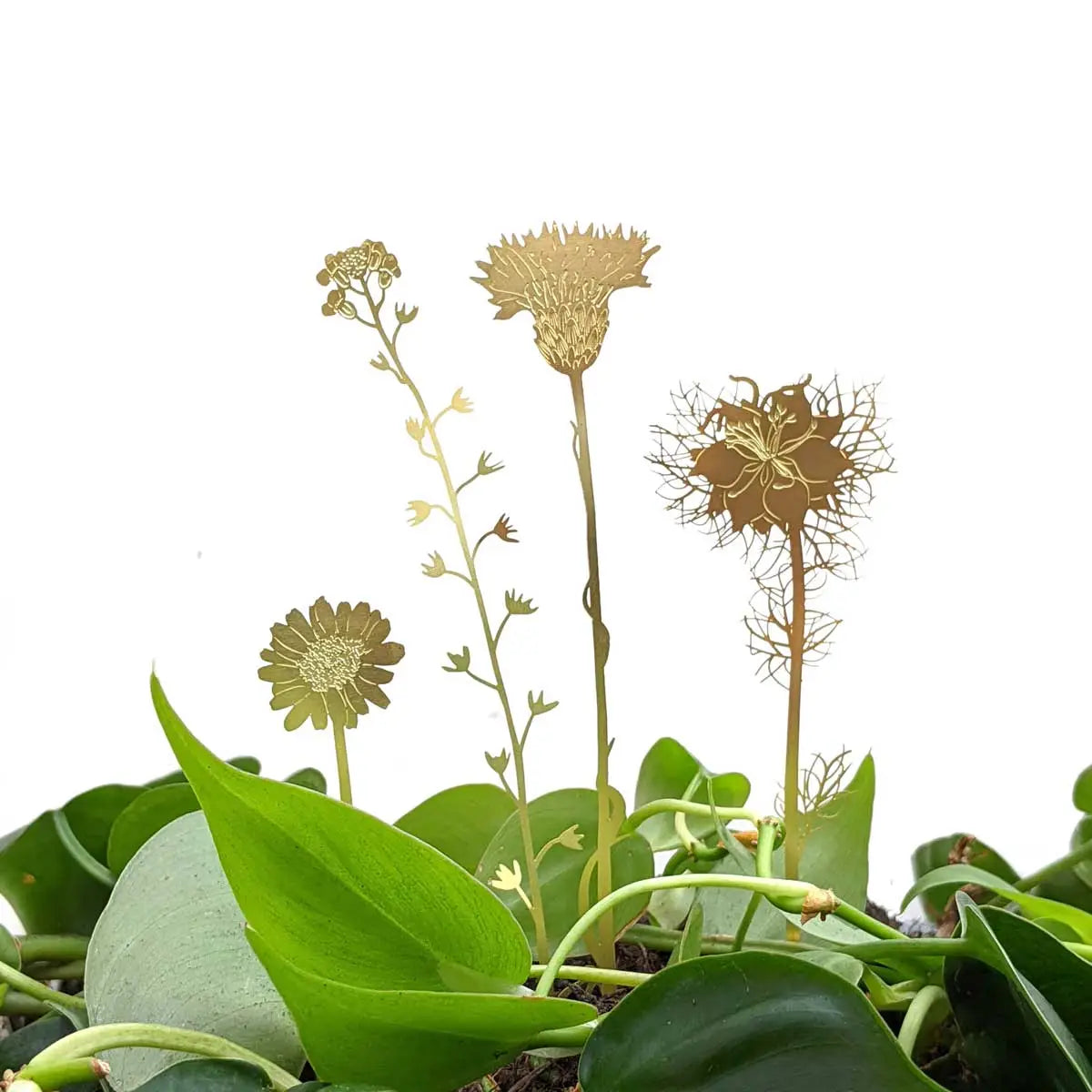 BRASS BLOOMS | Botanical Decoration