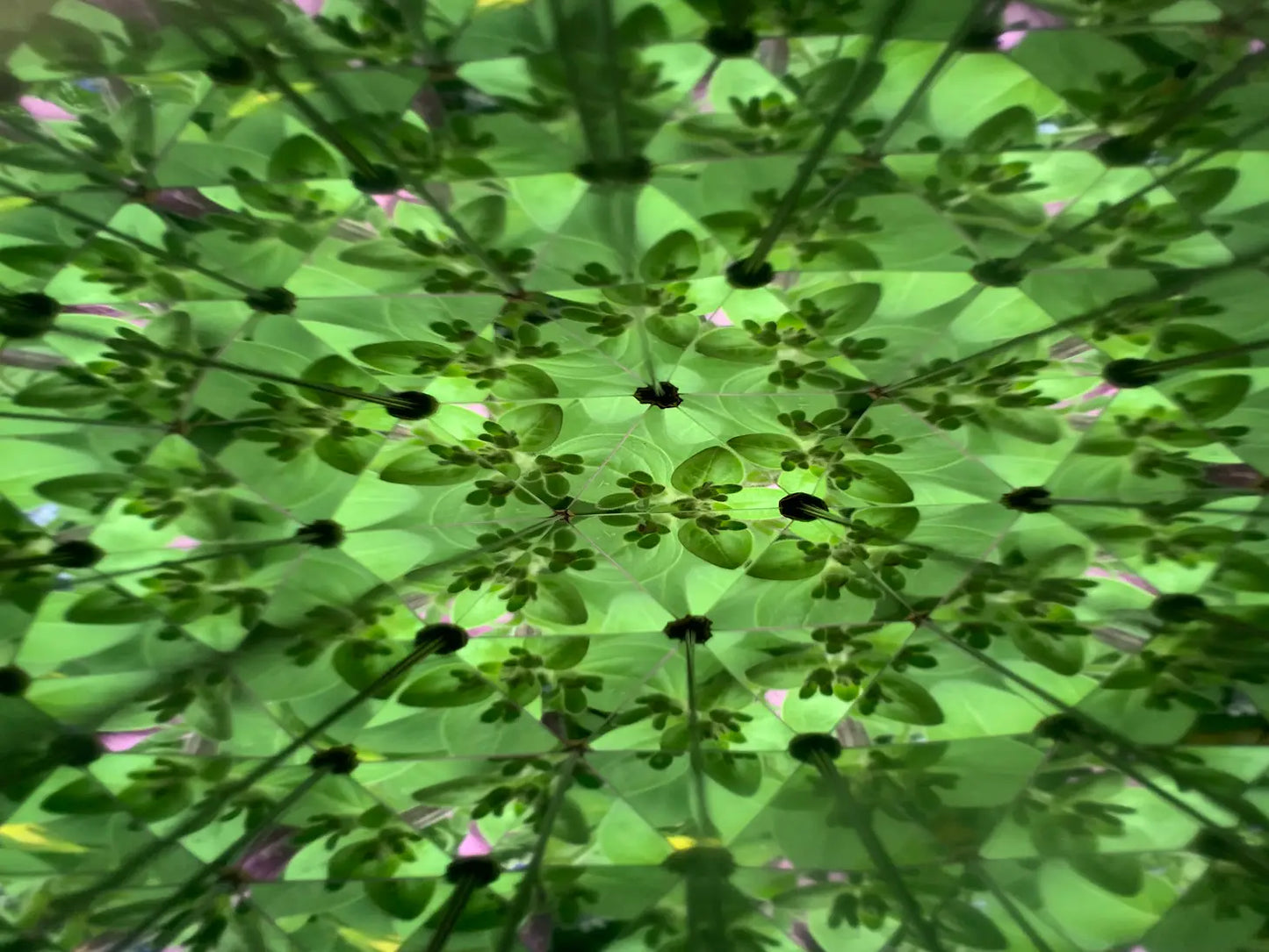 HUCKLEBERRY | DIY Kaleidoscope