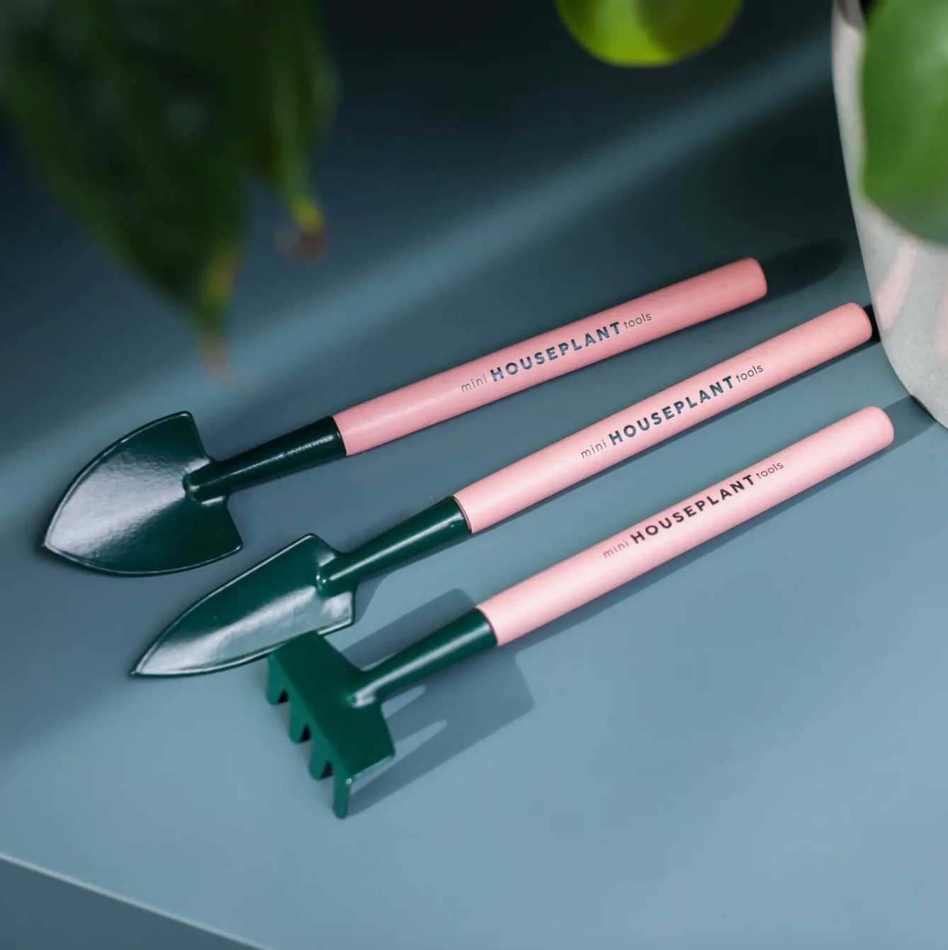 PLANT CARE | Mini Houseplant Tools
