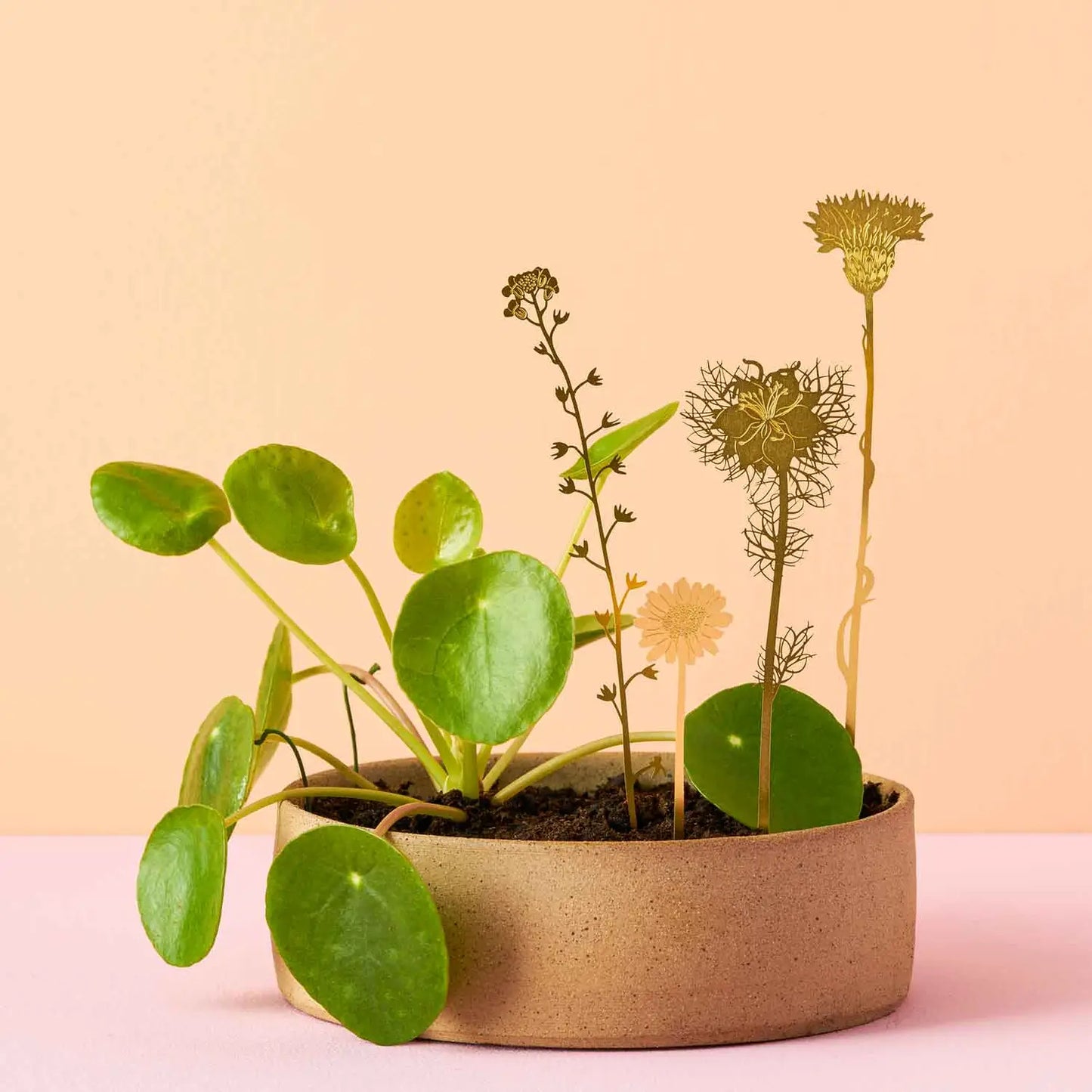 BRASS BLOOMS | Botanical Decoration