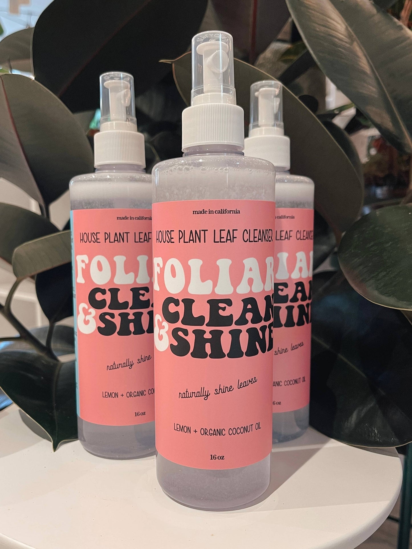 FOLIAR | Clean & Shine - House Plant Leaf Cleanser