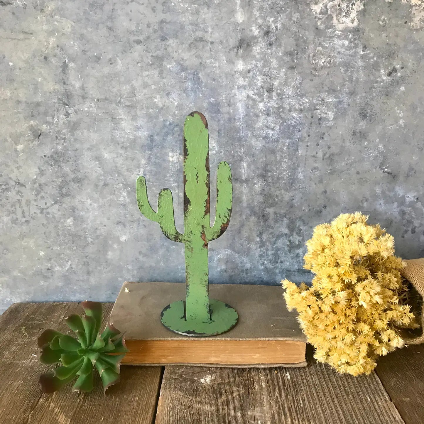 OUR COUNTRY HOMESTEAD | Cacti on base
