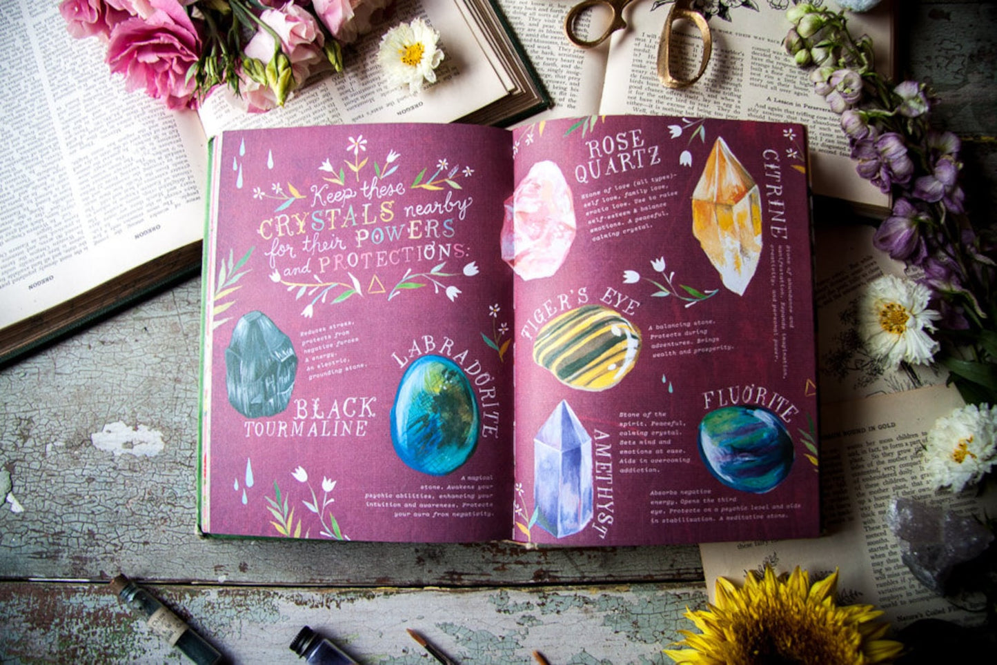 KATIE DAISY | How To Be A Wildflower Field Guide