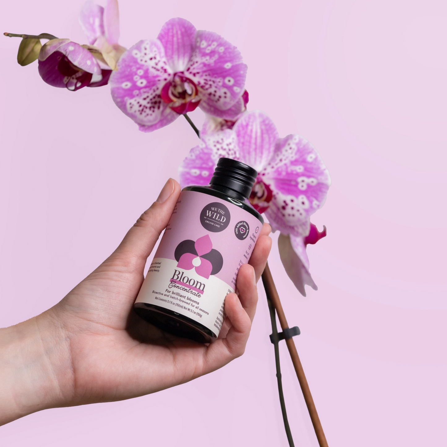 WE THE WILD | Orchid Essential Kit