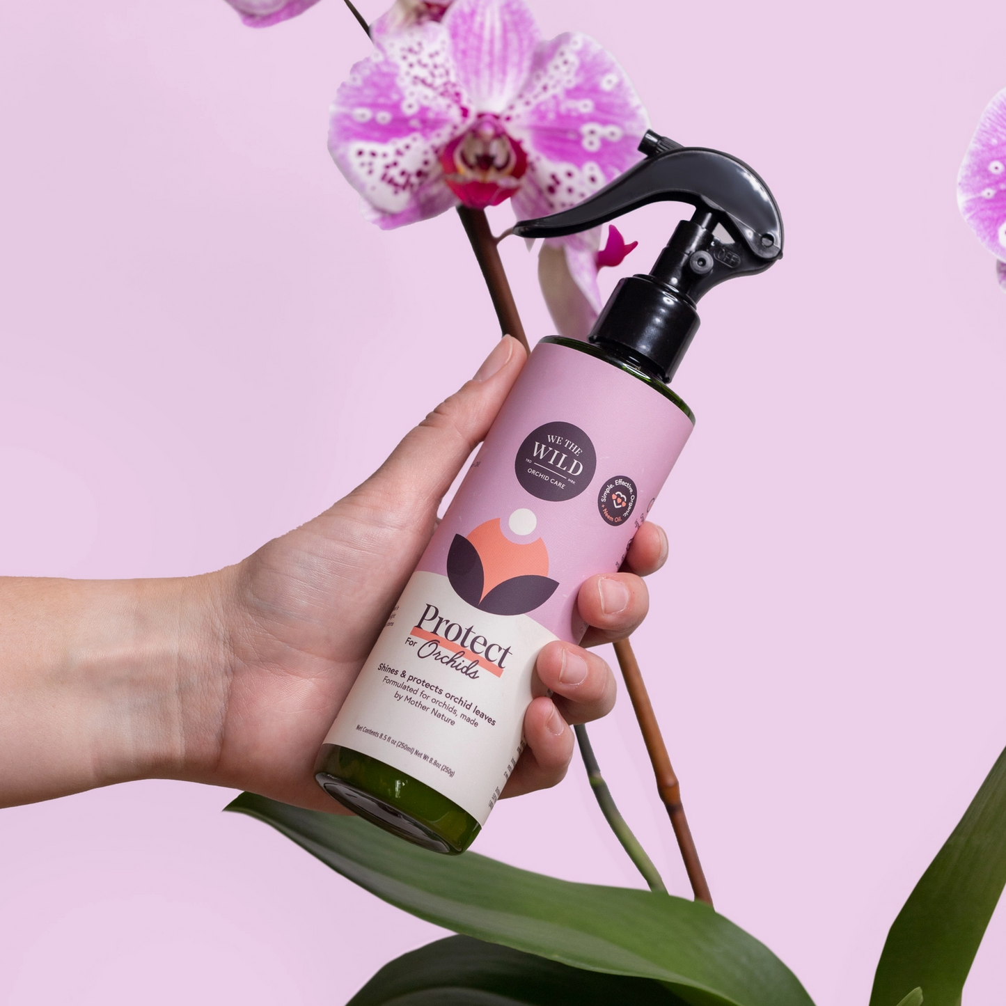 WE THE WILD | Orchid Essential Kit