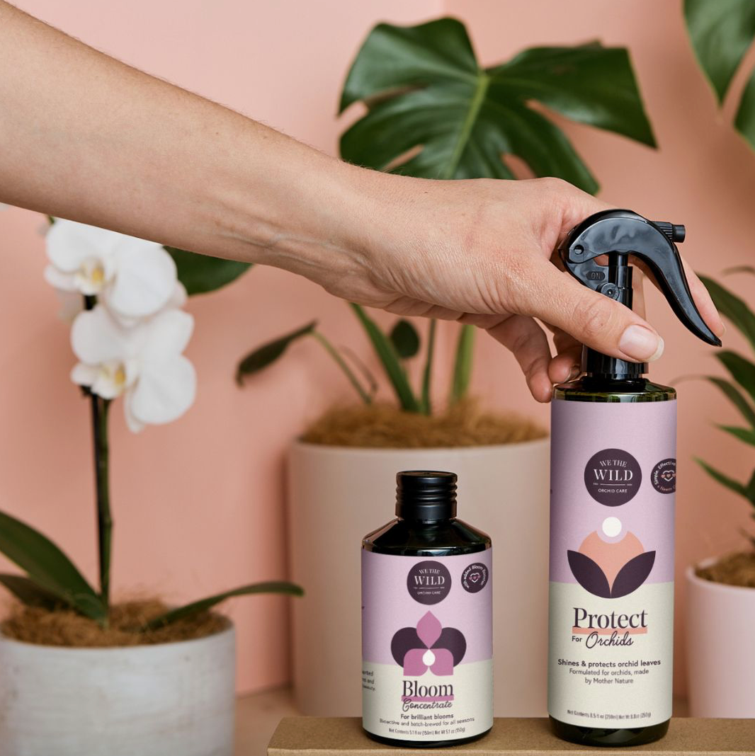 WE THE WILD | Orchid Essential Kit