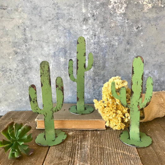 OUR COUNTRY HOMESTEAD | Cacti on base