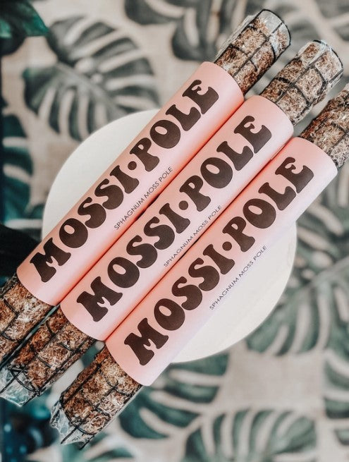 MOSSI-POLE | Sphagnum Moss Pole - 2 options